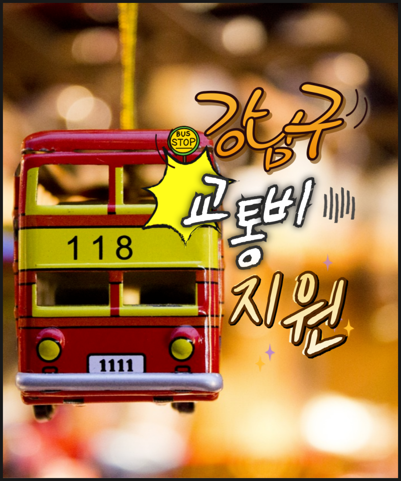 강남구 교통비 지원 사업 어르신 청소년 어린이 지원금 신청 방법