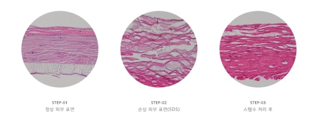  스템수의 효능, 함유된 제품으로 피부관리하기