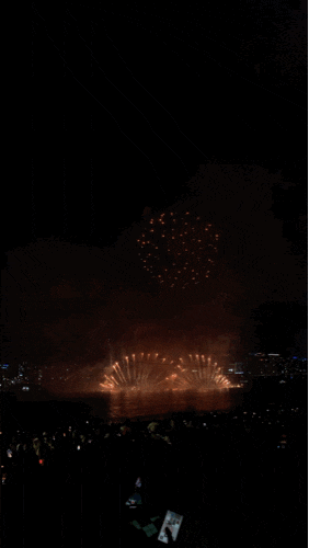  2024 한화 세계불꽃축제 명당 자리 개 꿀Tip!