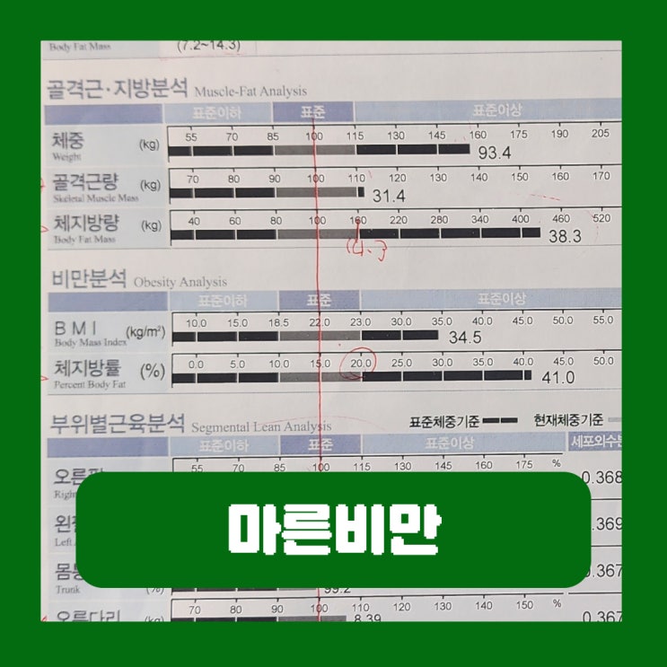  마른비만 뱃살 인바디 기준 체지방량 분석 근력 운동 식단