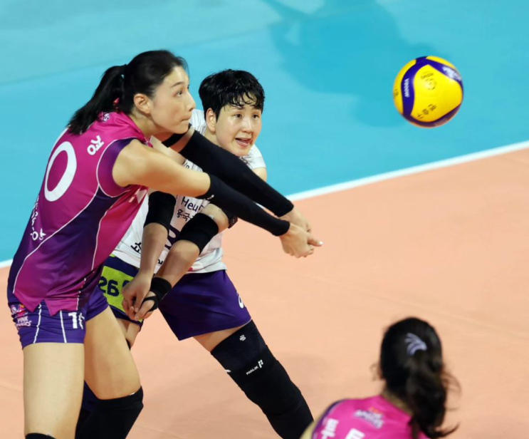 여자배구 통영 KOVO컵 : <b>아란마레</b> 배구단, 김연경, 일정, 예매... 