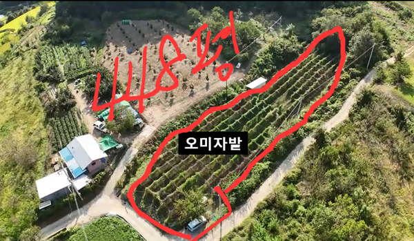 웅곡지 사진 6