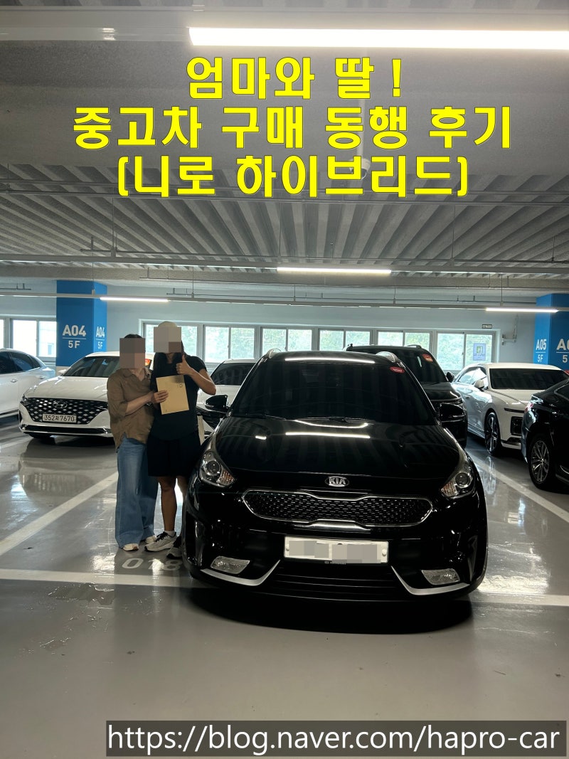 니로 하이브리드 중고차 검사 동행 후기(안산 오토돔)