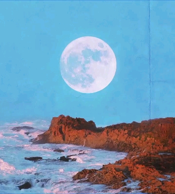 정성 정성