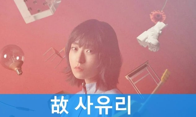 사유리 사망 결혼 6개월만에 안타깝네요 고인의 명복을 빕니다 (일본 가수)