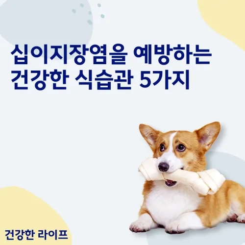  십이지장염을 예방하는 건강한 식습관 5가지