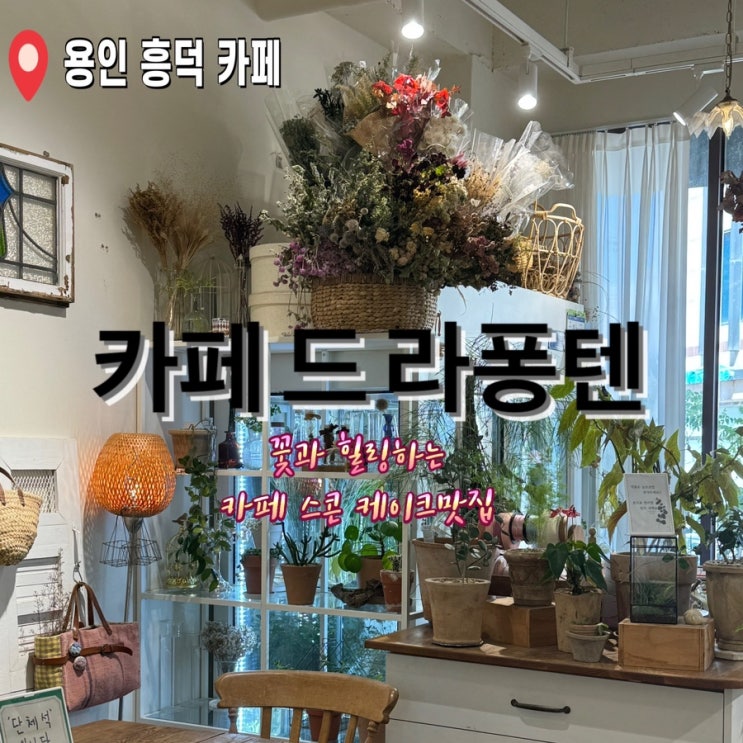  용인카페 라퐁텐 /꽃과 함께 힐링 케이크 스콘 맛집