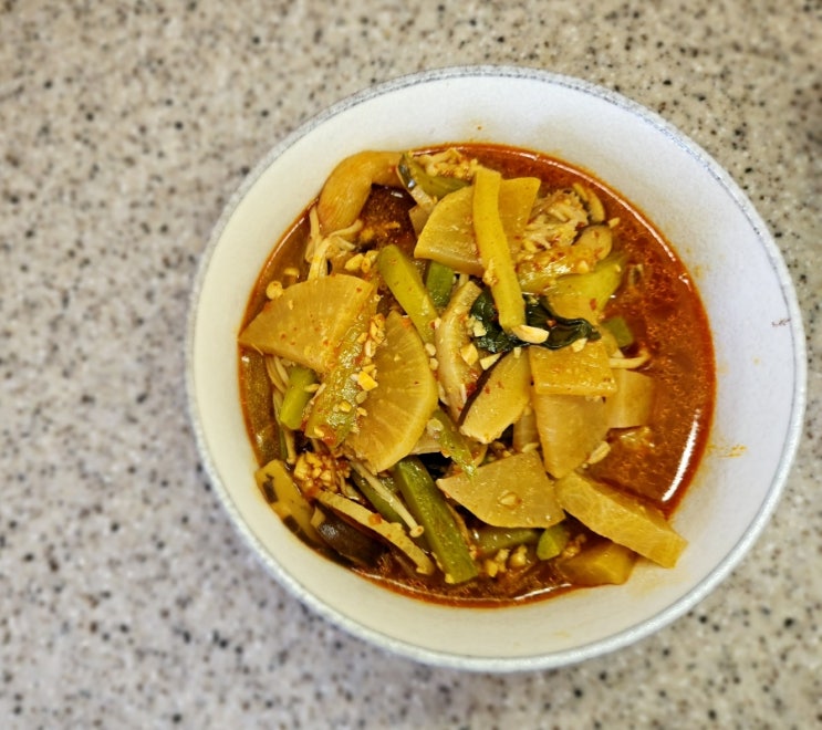  채개장 만들기 / 파, 양파 까먹어서 못넣었는데도 맛있음 / 채소 육개장