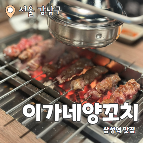  이가네양꼬치 대치점 : 삼성역 통통한 양꼬치 맛집 내돈내산 후기