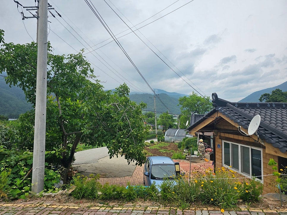 봉평산골메밀촌 사진 5
