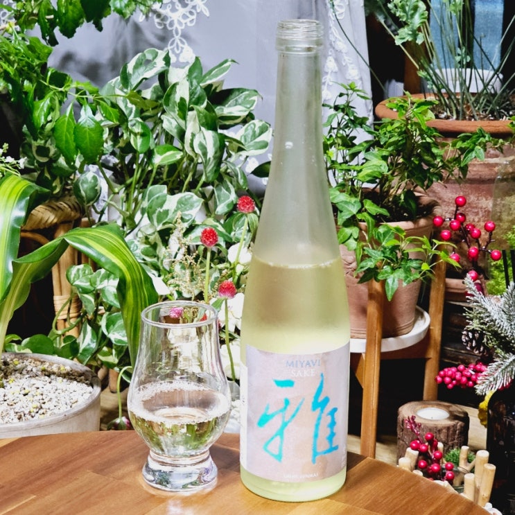  미야비사케 라이트 준마이 MIYAVI SAKE 추천