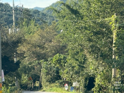 사진 7
