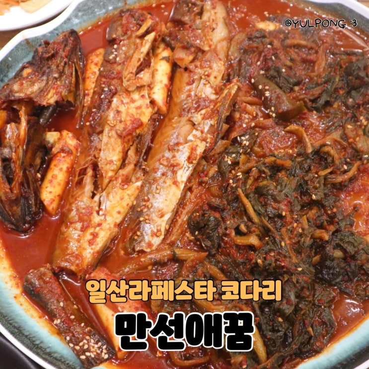  일산장항동 만선애꿈 라페스타점 코다리&보쌈 맛집
