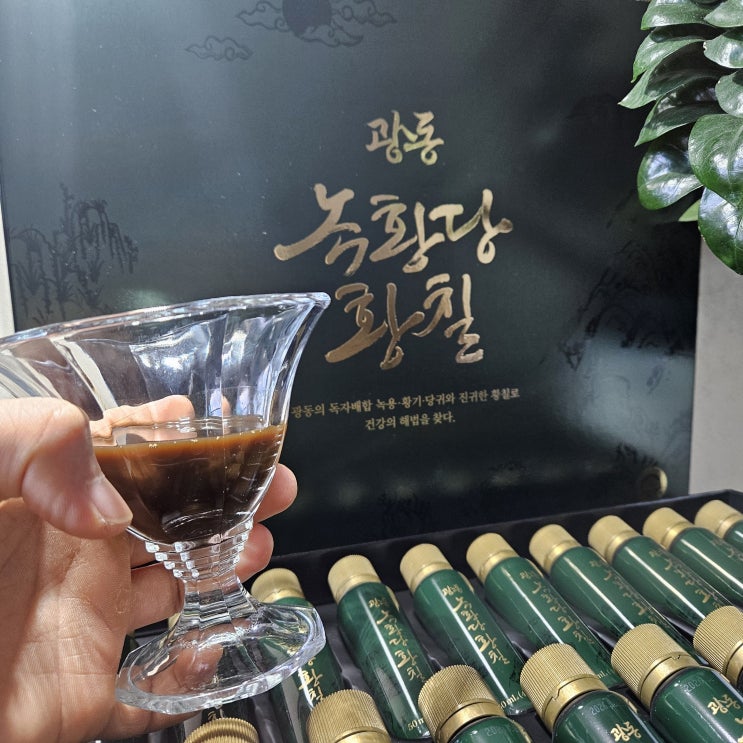 부모님선물 황칠진액 광동 녹황당황칠 가격 후기 환갑선물 부모님선물 황칠진액 광동 녹황당황칠 가격 후기 환갑선물