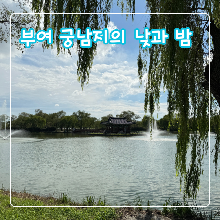  부여 궁남지의 낮과 밤 / 야경 데이트