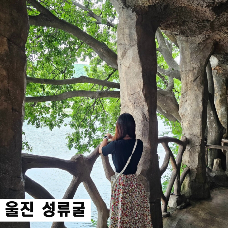  울진 가볼만한곳 성류굴 요금 무료주차 주의사항 꿀팁