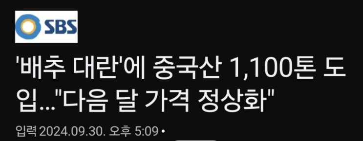 한우보다 비싼 배추, 올해 김장 준비 어떻게 할까? 한우보다 비싼 배추, 올해 김장 준비 어떻게 할까?