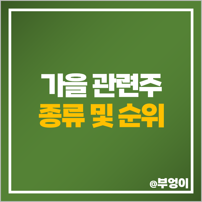 가을 테마주 관련주 경농 주가 현대홈쇼핑 동방아그로 신세계 주식 가을 테마주 관련주 경농 주가 현대홈쇼핑 동방아그로 신세계 주식