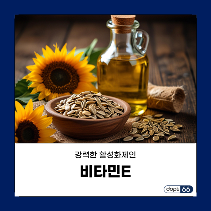  강력한 항산화제인 비타민E, 효능과 결핍증상 및 음식