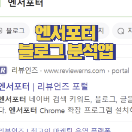  엔서포터 웹 확장 프로그램 신박하네