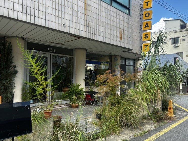  초록미학이 돋보이는 대전 대흥동 카페 [코페부쉬]