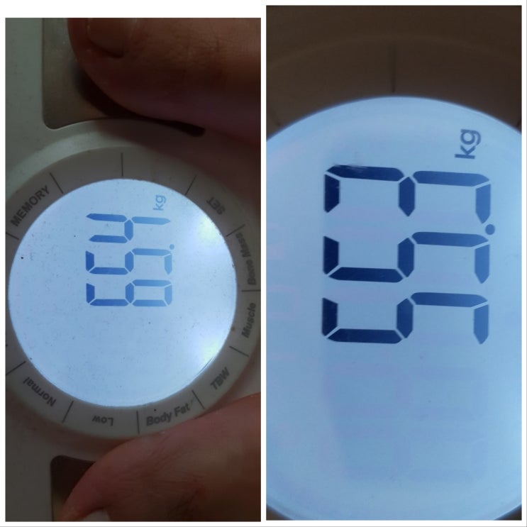  다이어트/그냥 있는 대로 살자