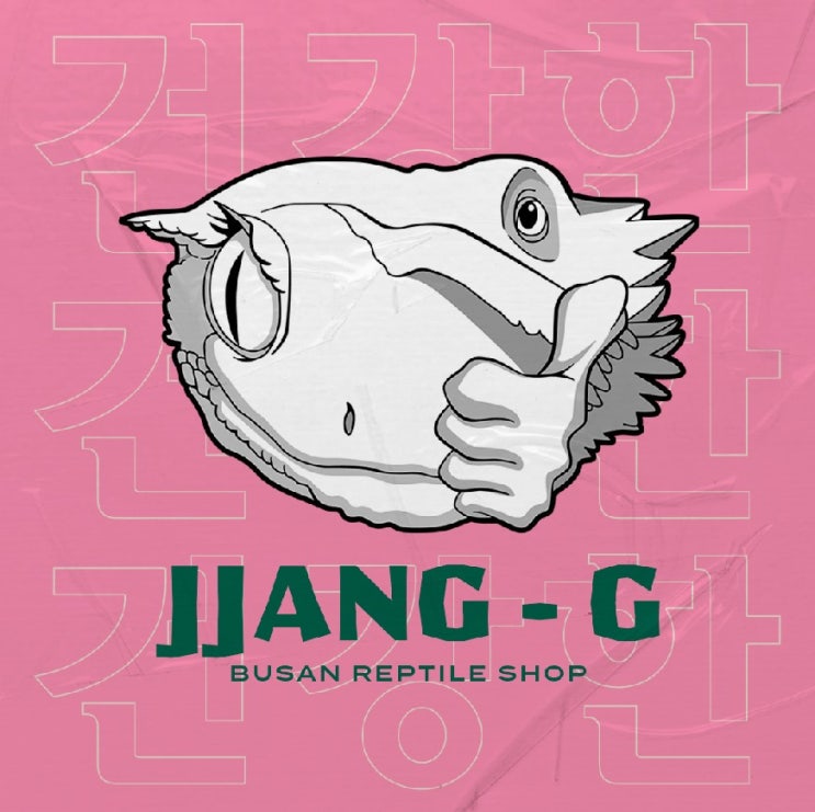  부산 사상구 대표 짱지 JJang G 파충류샵 소개