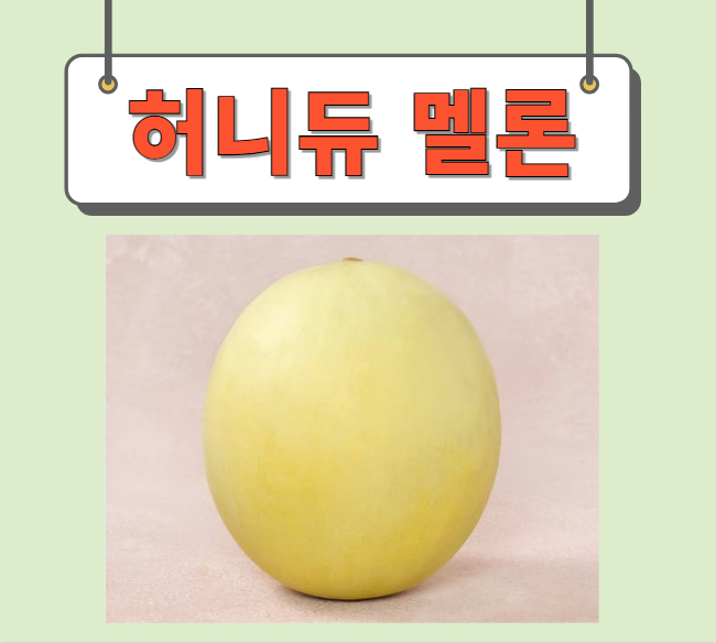  허니듀멜론 고르는법 후숙 완벽정리