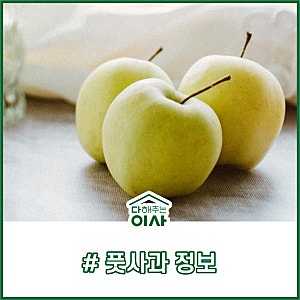 풋사과 칼로리와 효능 그리고 부작용 알고 먹기