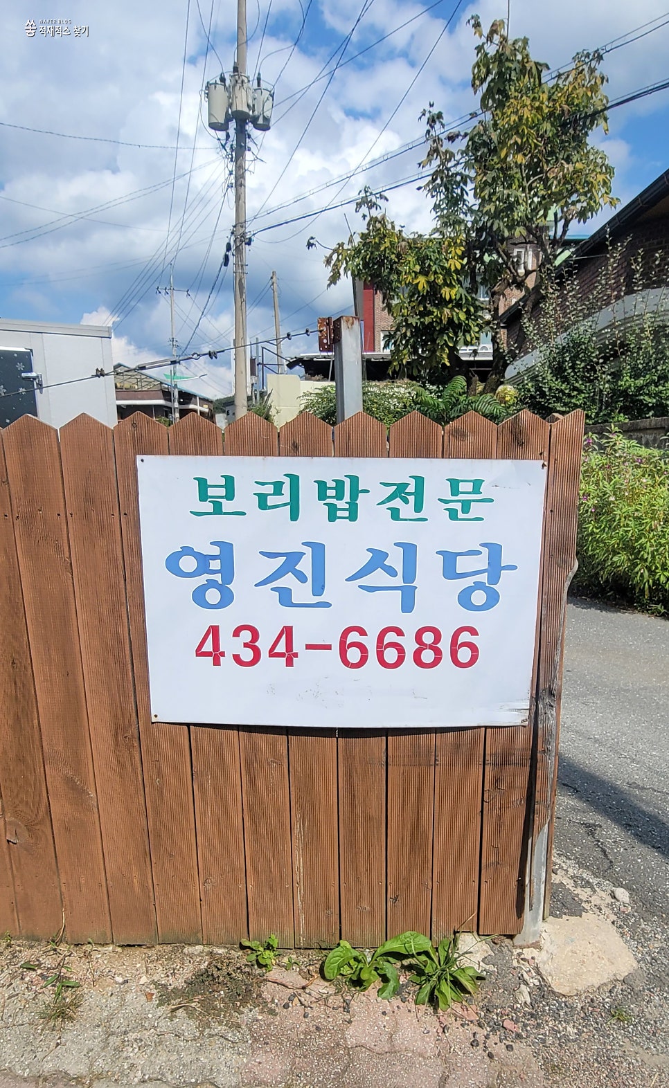 영진식당 사진 2