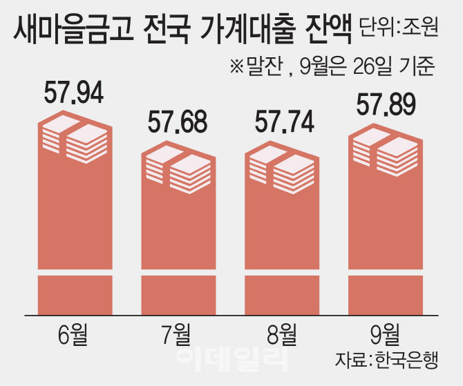새마을금고 주택담보대출 급증, 집값 안정 규제 효과는? 새마을금고 주택담보대출 급증, 집값 안정 규제 효과는?