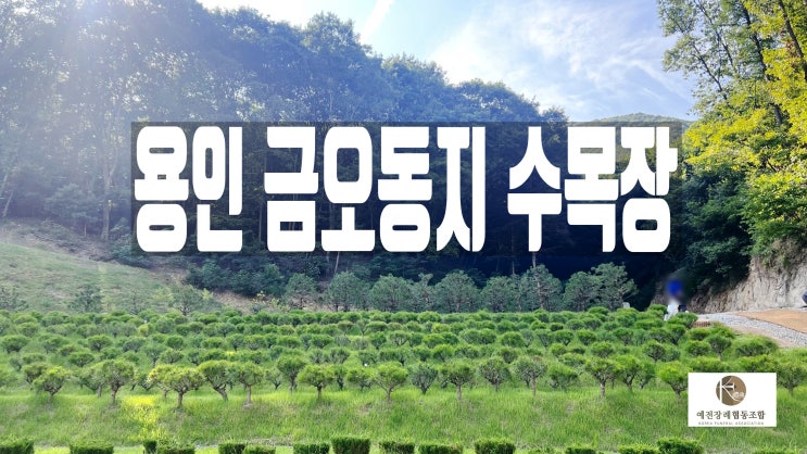  수목장 용인 가족수목장 금오동지 분양가격 절차안내
