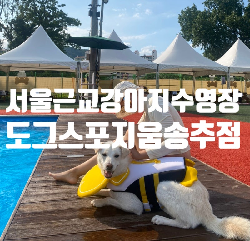 사진 3