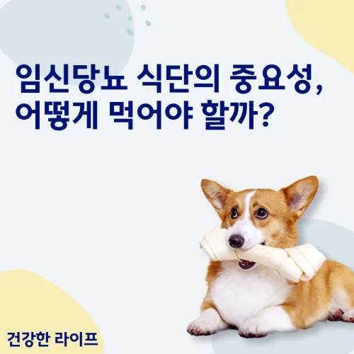  임신당뇨 식단의 중요성, 어떻게 먹어야 할까?