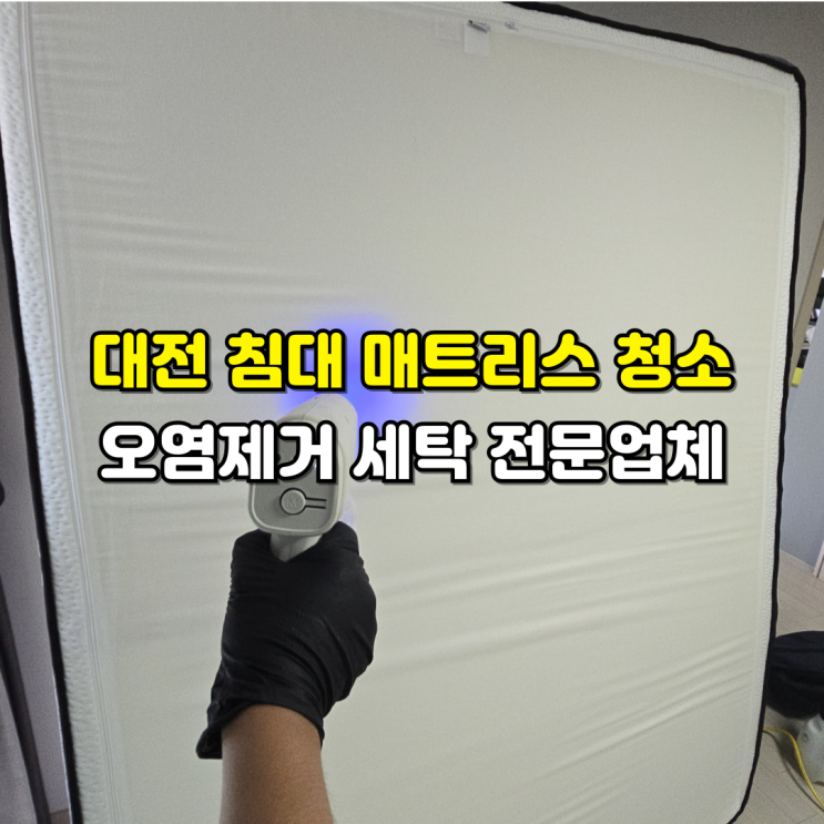  대전 매트리스 청소 전문업체