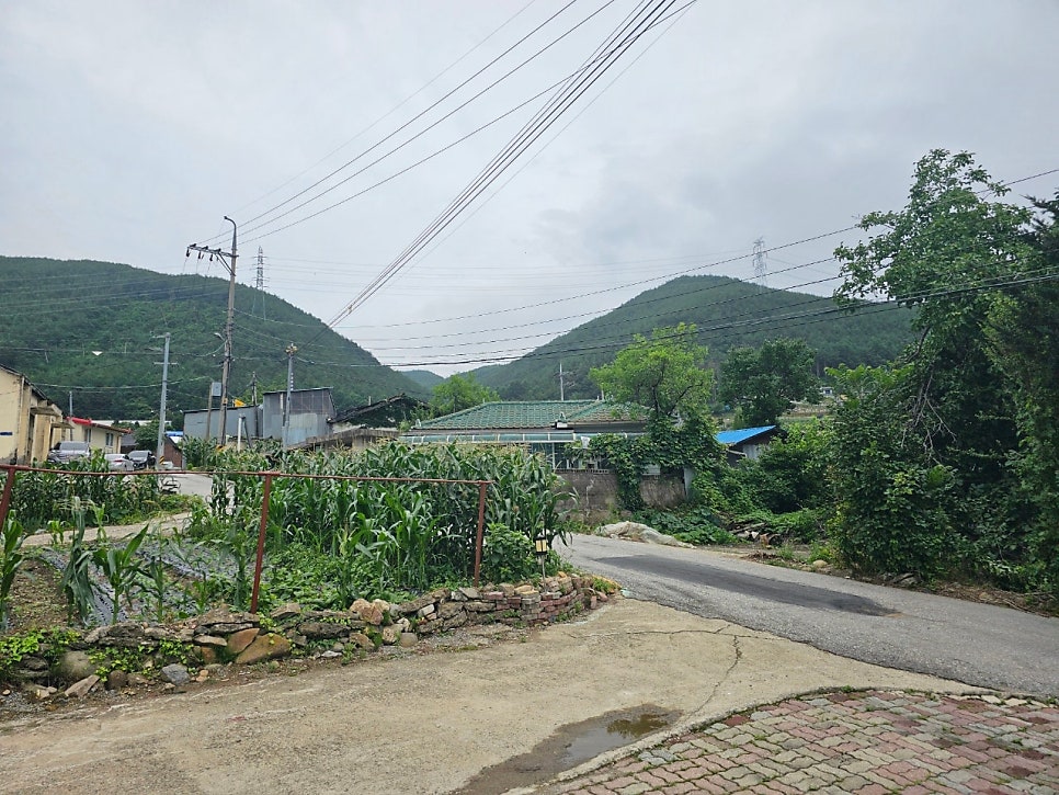 봉평산골메밀촌 사진 4