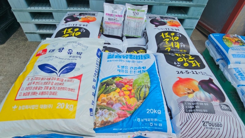 시골팜 대서마늘밭준비에 들어가는 비료종류소개와 살포작업마무리