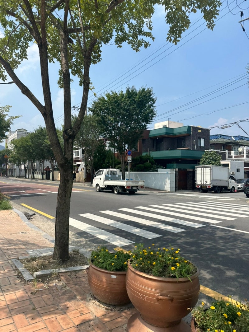 사진 2