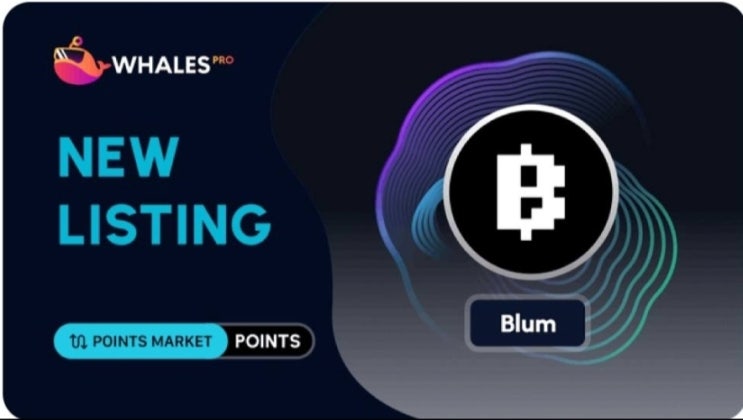  Blum 비디오코드 & 웨일즈 마켓 상장