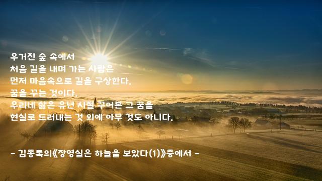 처음 처음