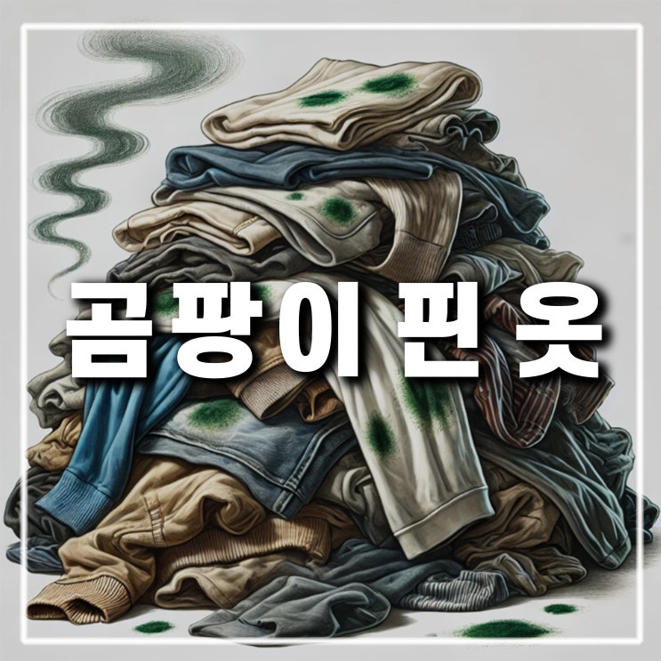  옷에 핀 곰팡이 세탁과 냄새 제거 방법, 세탁기