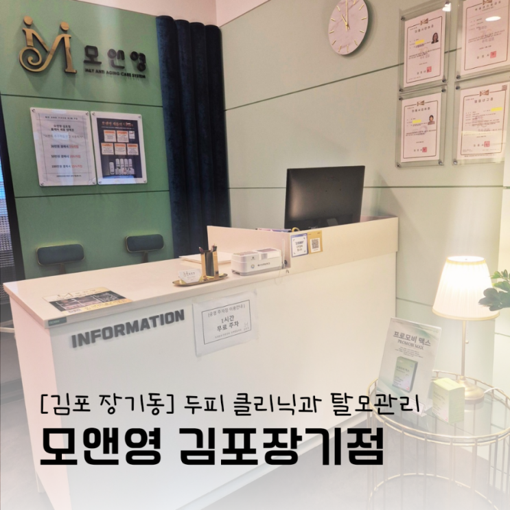 김포 두피관리 모앤영 김포장기점에서 탈모예방해요 김포 두피관리 모앤영 김포장기점에서 탈모예방해요