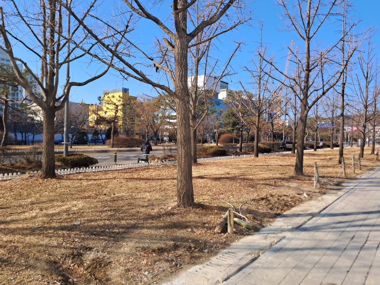  사건의 핵심만  콕 짚어내는 노원 손해사정사