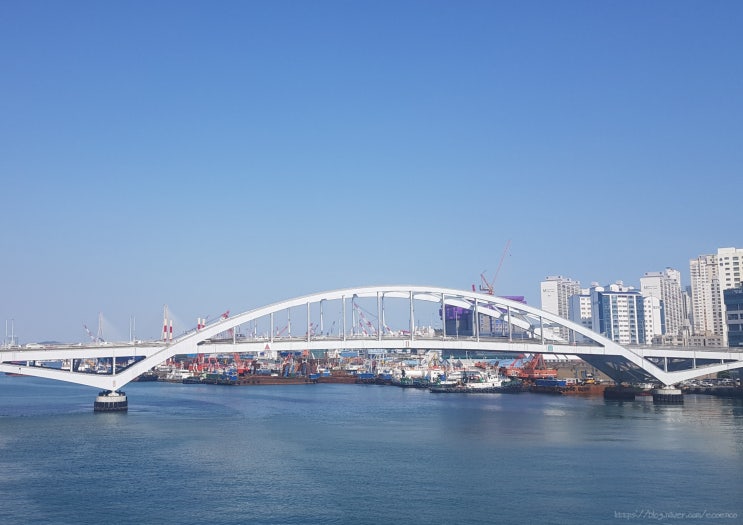 오늘부터 네블꾸~