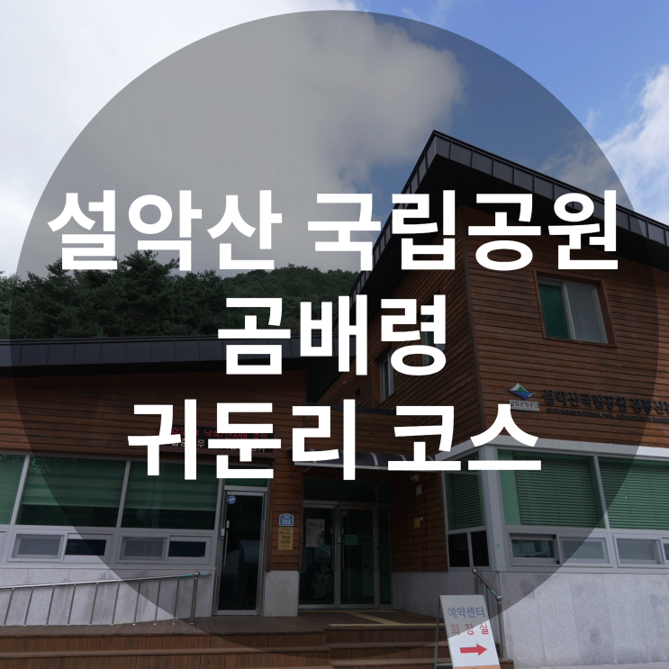  야생화 천국 곰배령 설악산 국립공원 귀둔리 코스로 다녀오기