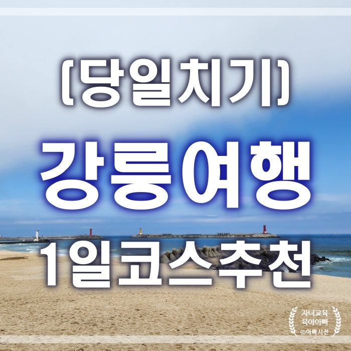  강원도 강릉여행 당일치기 - 경포호 소쿠리 월화거리 코스추천