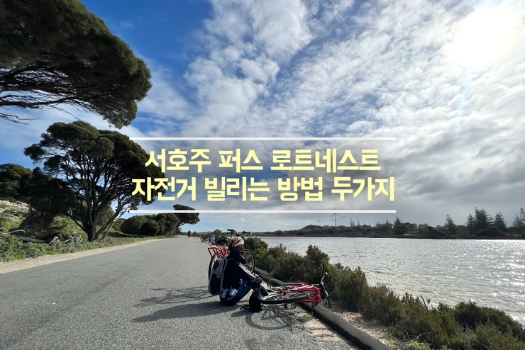  서호주 퍼스 로트네스트 아일랜드 자전거 빌리는 두가지 방법 비교와 가격
