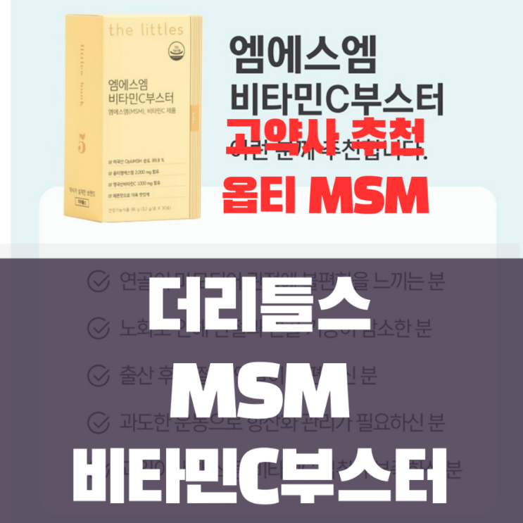  고약사 리틀약사 추천 관절 영양제 - 더리틀스 MSM 비타민C 부스터