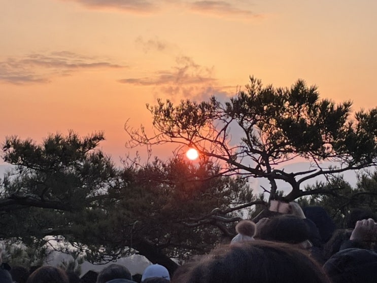 살기 좋은 이유중 하나인 비봉산 망해암 2024 <b>갑진년 일출</b> 보기