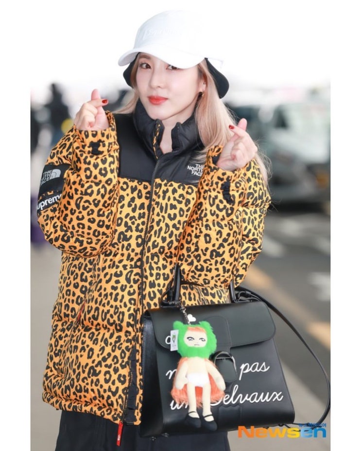 산다라박 착용 슈프림 노스페이스 패딩 눕시 2011FW 레오파드 정보 산다라박 착용 슈프림 노스페이스 패딩 눕시 2011FW 레오파드 정보